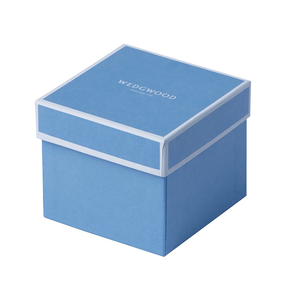 Hibiscus Teacup & Saucer Wedgwood®